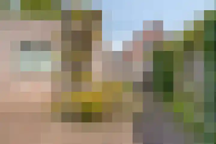 de Kievit 136 B Denekamp thumbnail 35