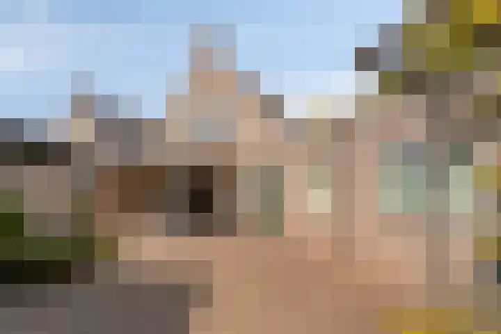 de Kievit 136 B Denekamp thumbnail 36