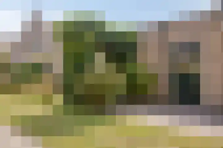 de Kievit 136 B Denekamp thumbnail 37