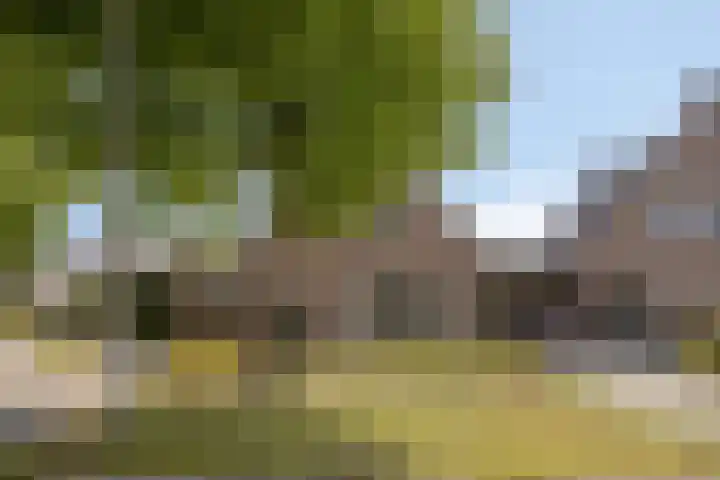 de Kievit 136 B Denekamp thumbnail 39
