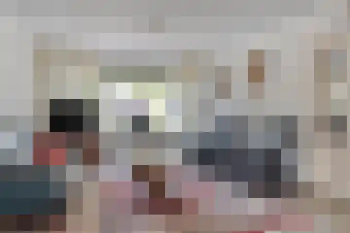 de Kievit 136 B Denekamp thumbnail 4