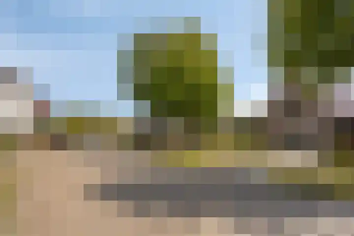 de Kievit 136 B Denekamp thumbnail 40