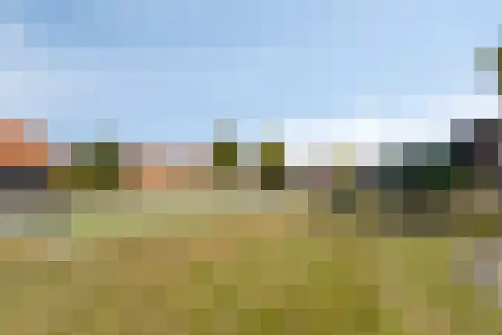 de Kievit 136 B Denekamp thumbnail 41