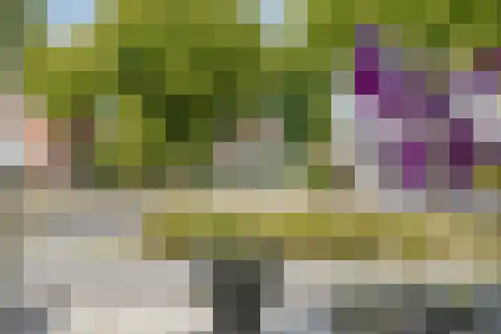 de Kievit 136 B Denekamp thumbnail 5