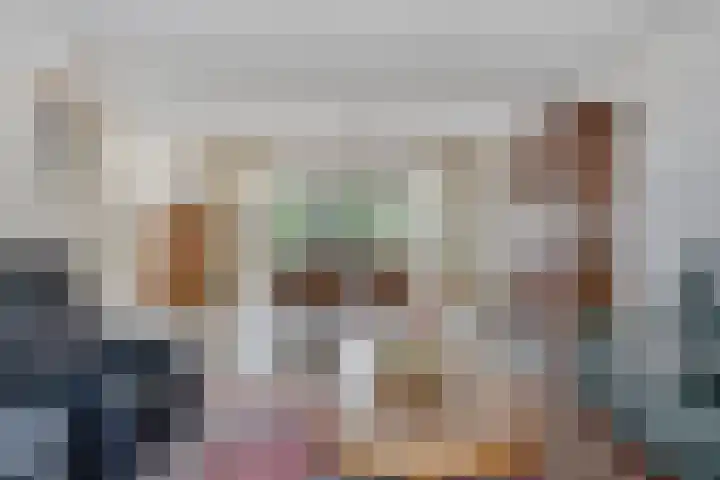 de Kievit 136 B Denekamp thumbnail 6