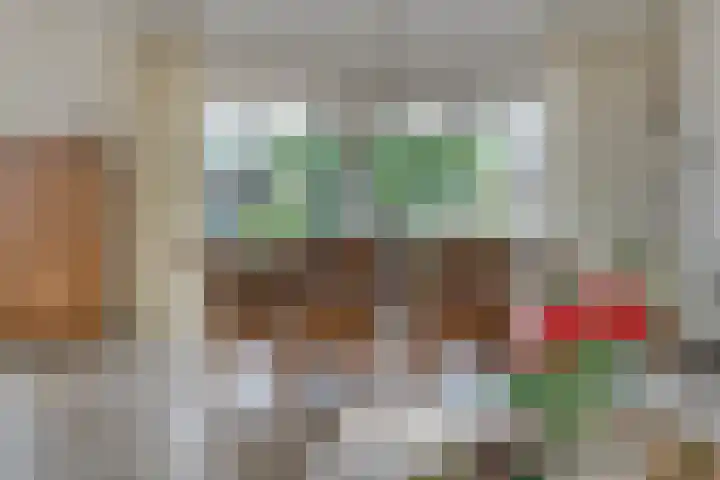 de Kievit 136 B Denekamp thumbnail 7