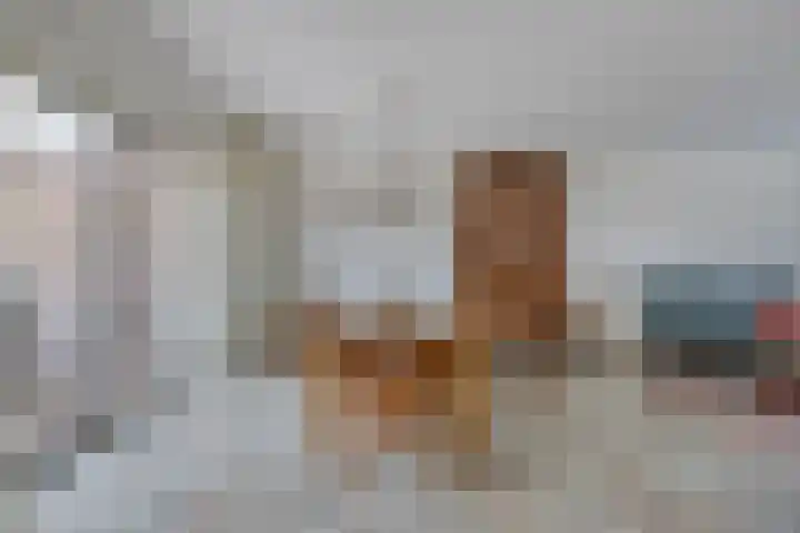 de Kievit 136 B Denekamp thumbnail 8