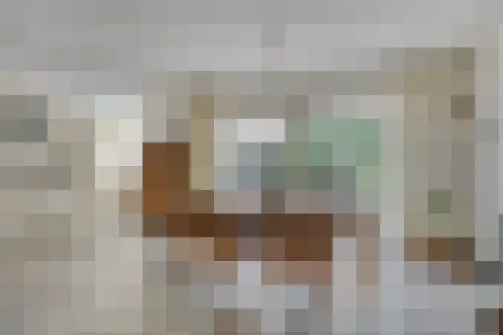 de Kievit 136 B Denekamp thumbnail 9