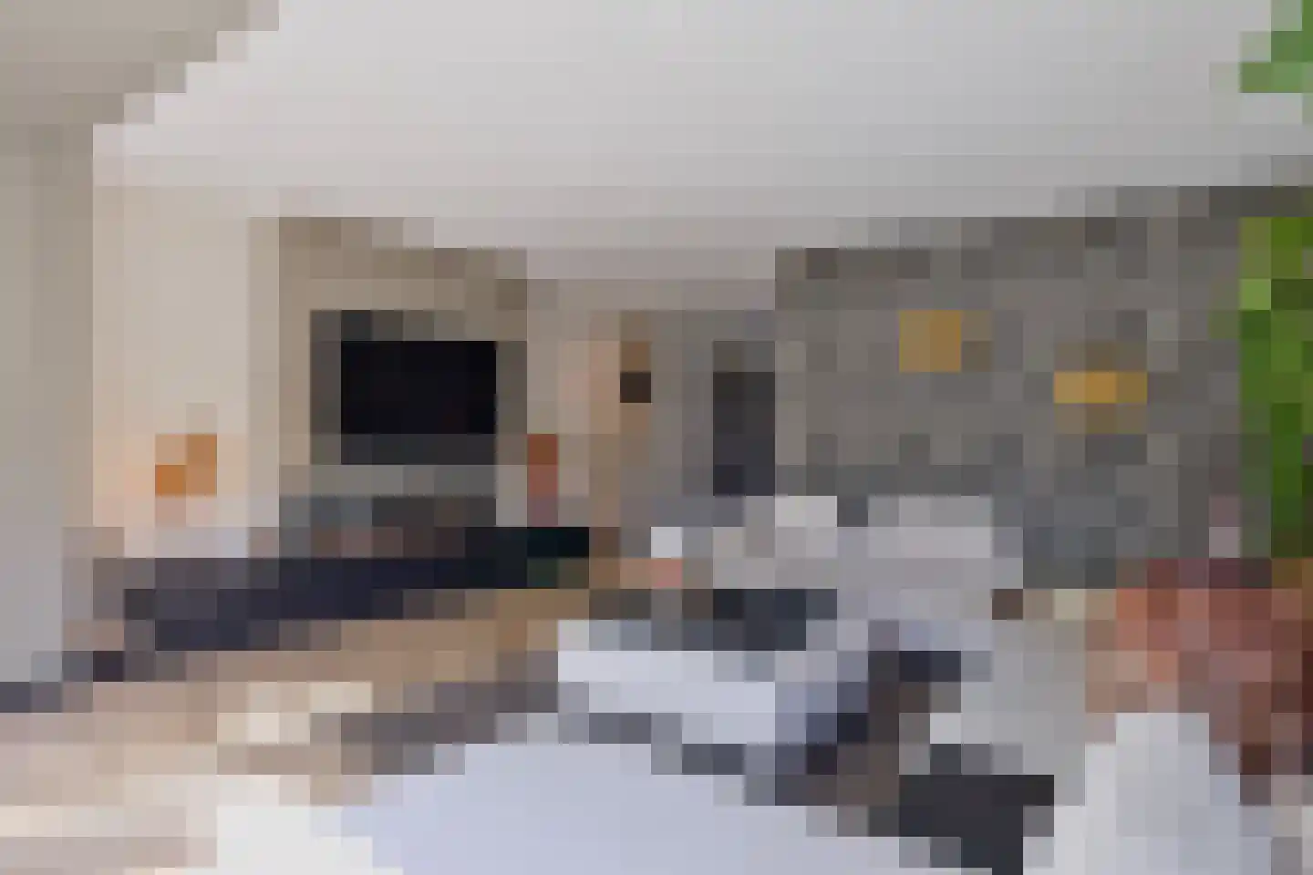 De Kievit 15 Vroomshoop thumbnail 10