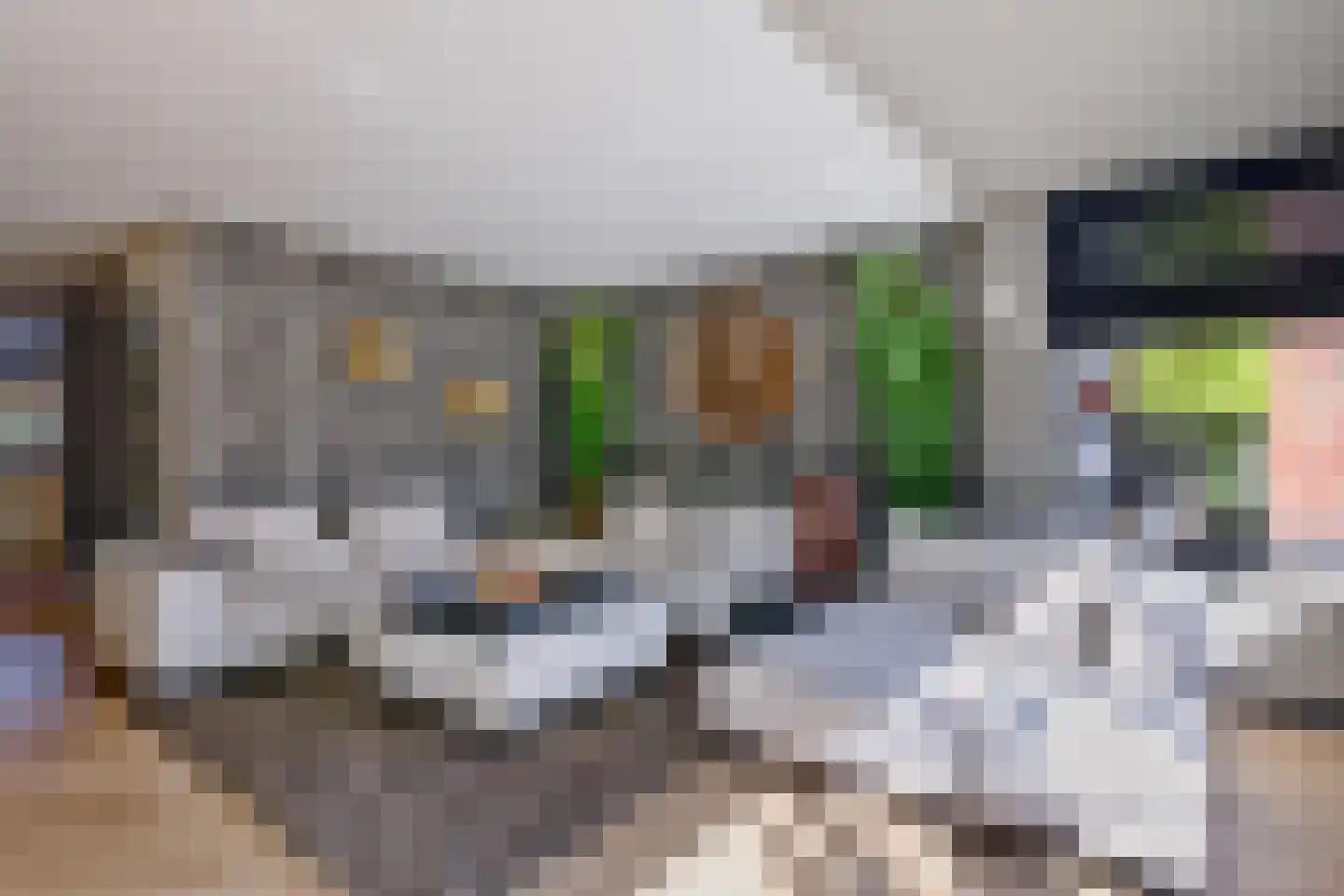 De Kievit 15 Vroomshoop thumbnail 11