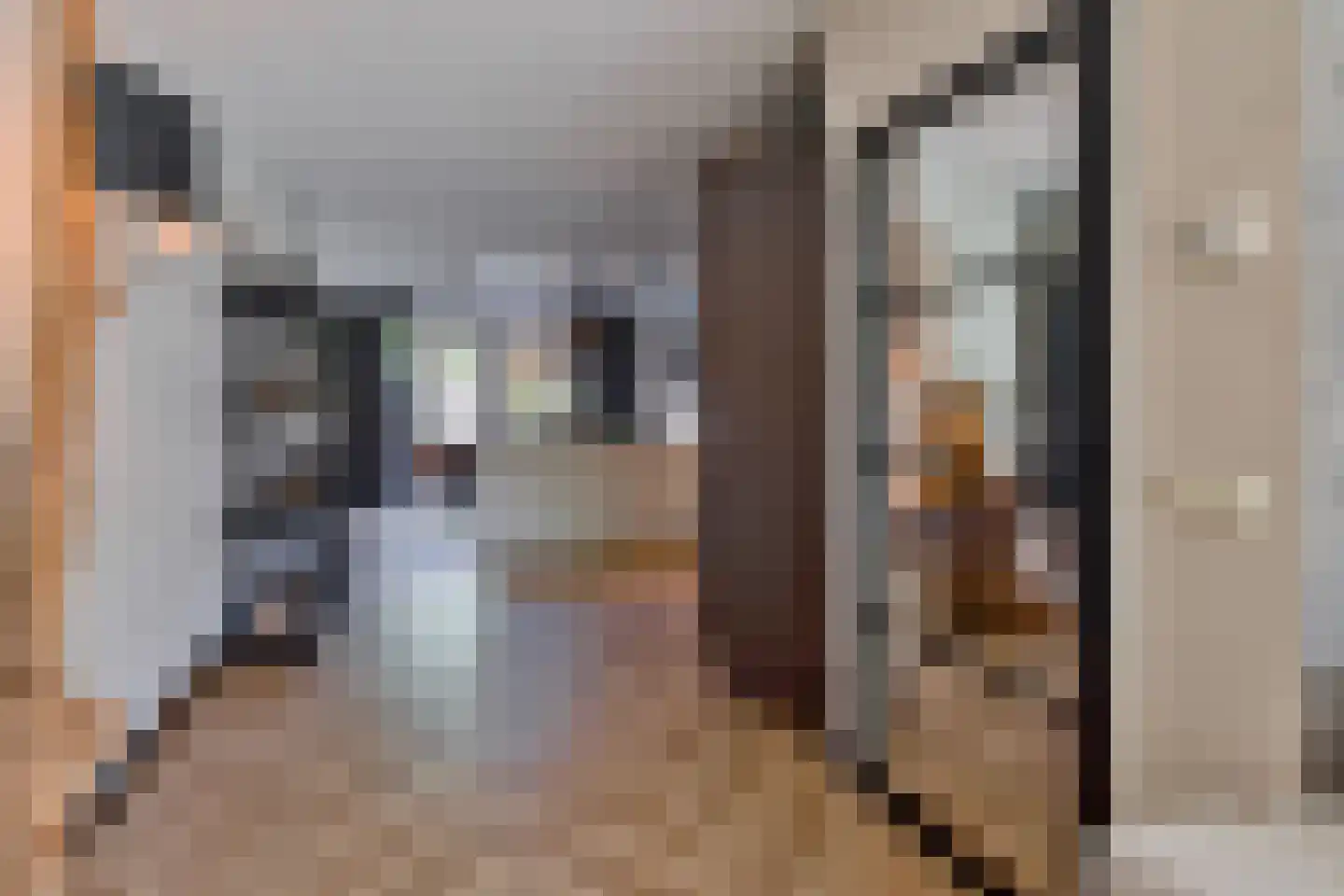 De Kievit 15 Vroomshoop thumbnail 12