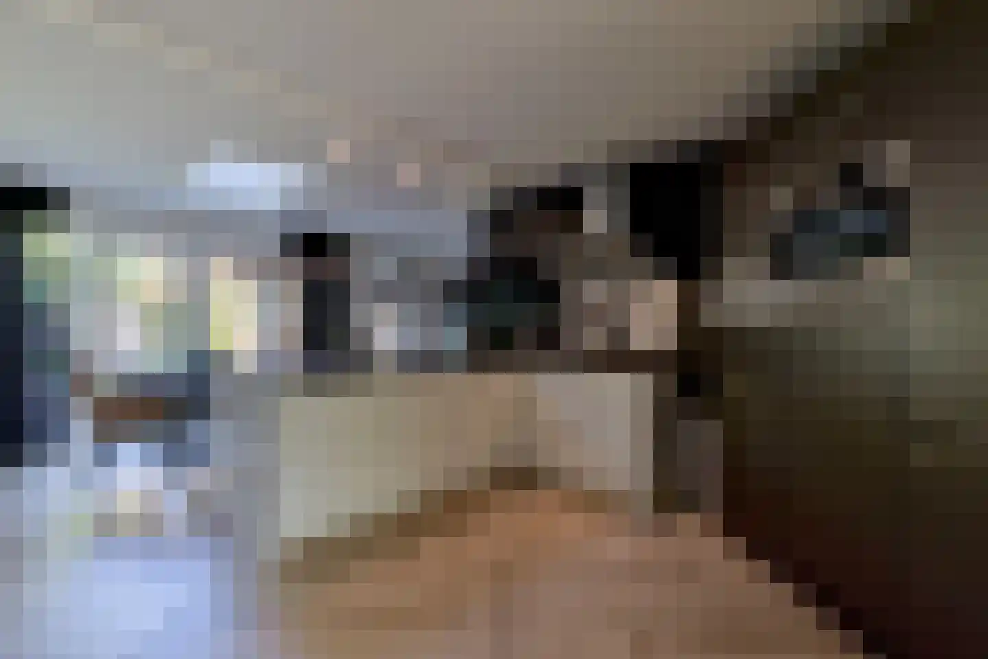 De Kievit 15 Vroomshoop thumbnail 13