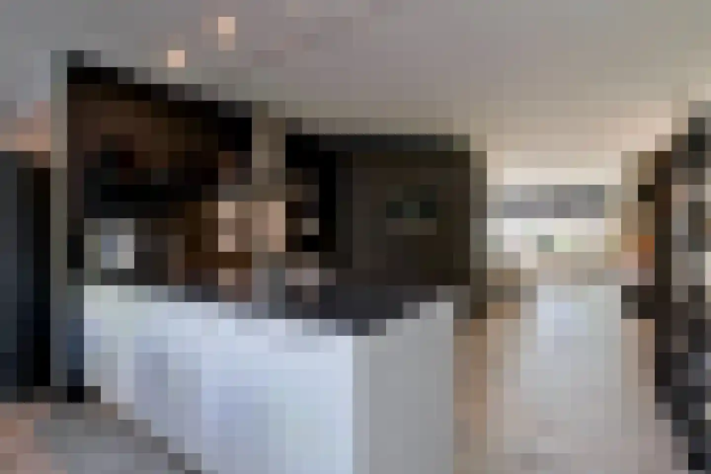 De Kievit 15 Vroomshoop thumbnail 15