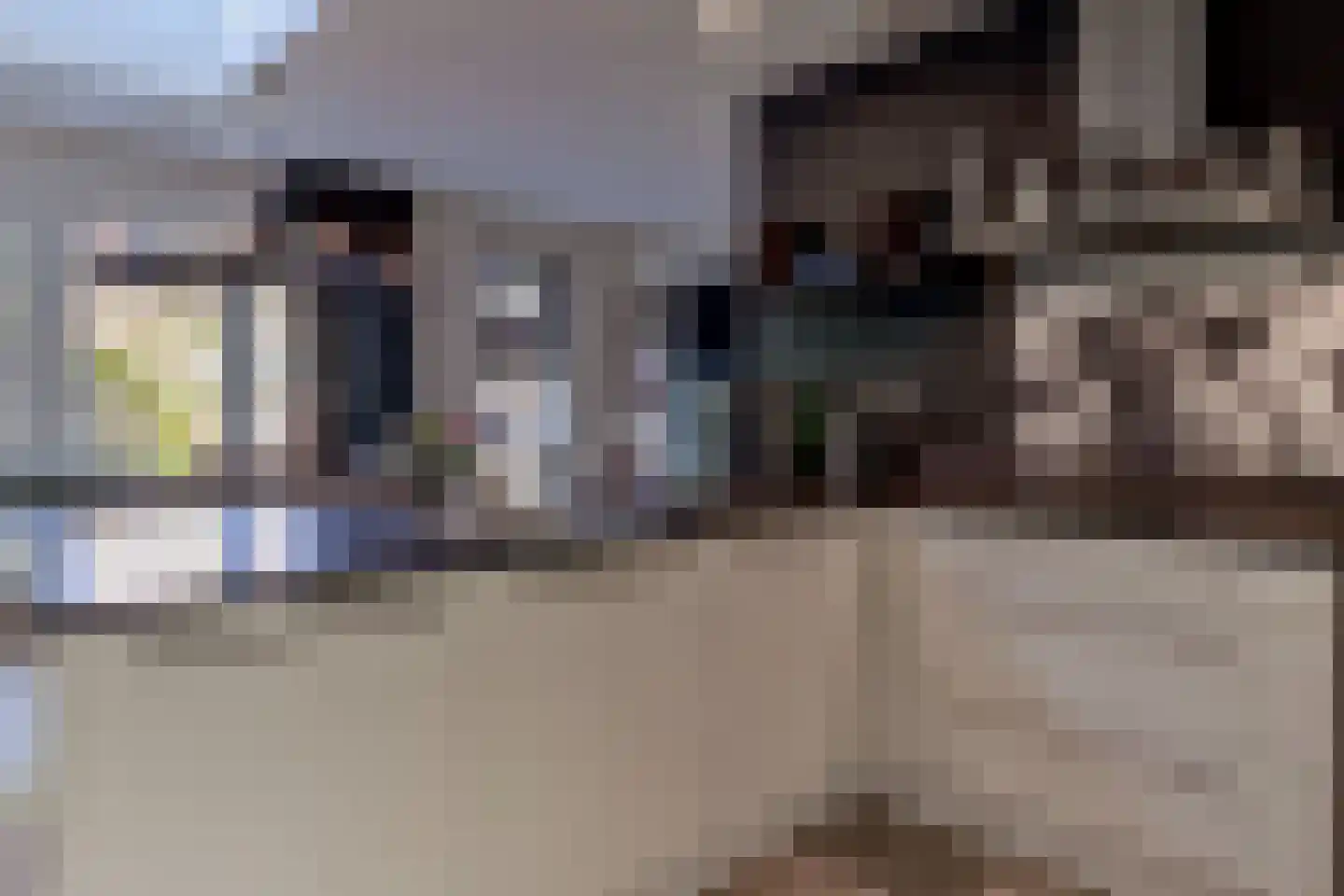 De Kievit 15 Vroomshoop thumbnail 16