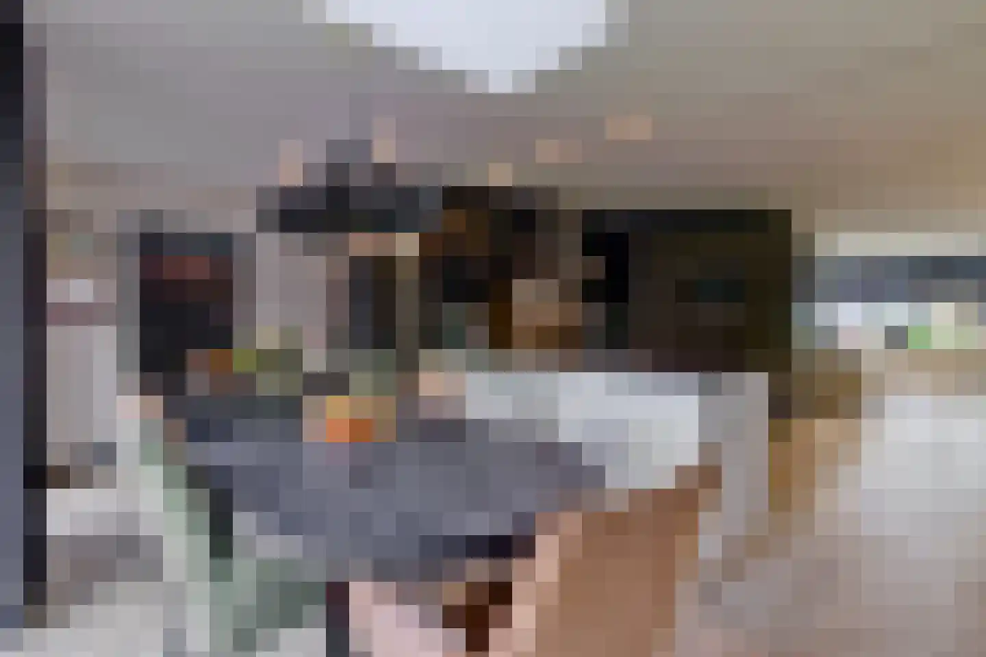De Kievit 15 Vroomshoop thumbnail 17