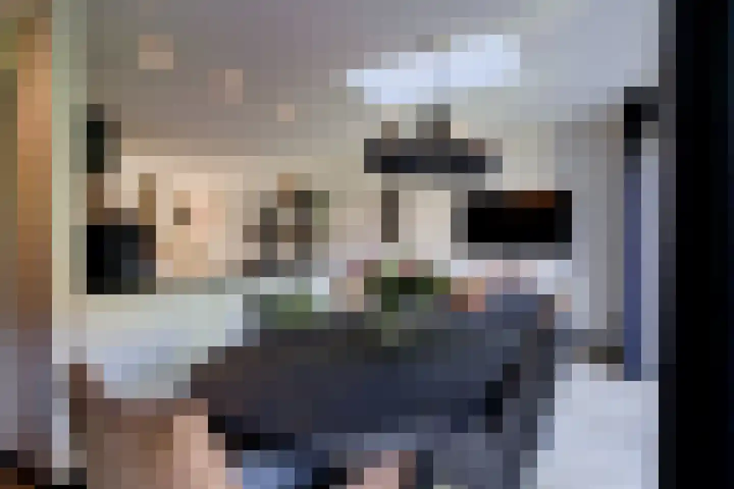 De Kievit 15 Vroomshoop thumbnail 18
