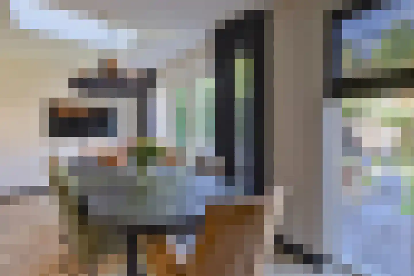 De Kievit 15 Vroomshoop thumbnail 19