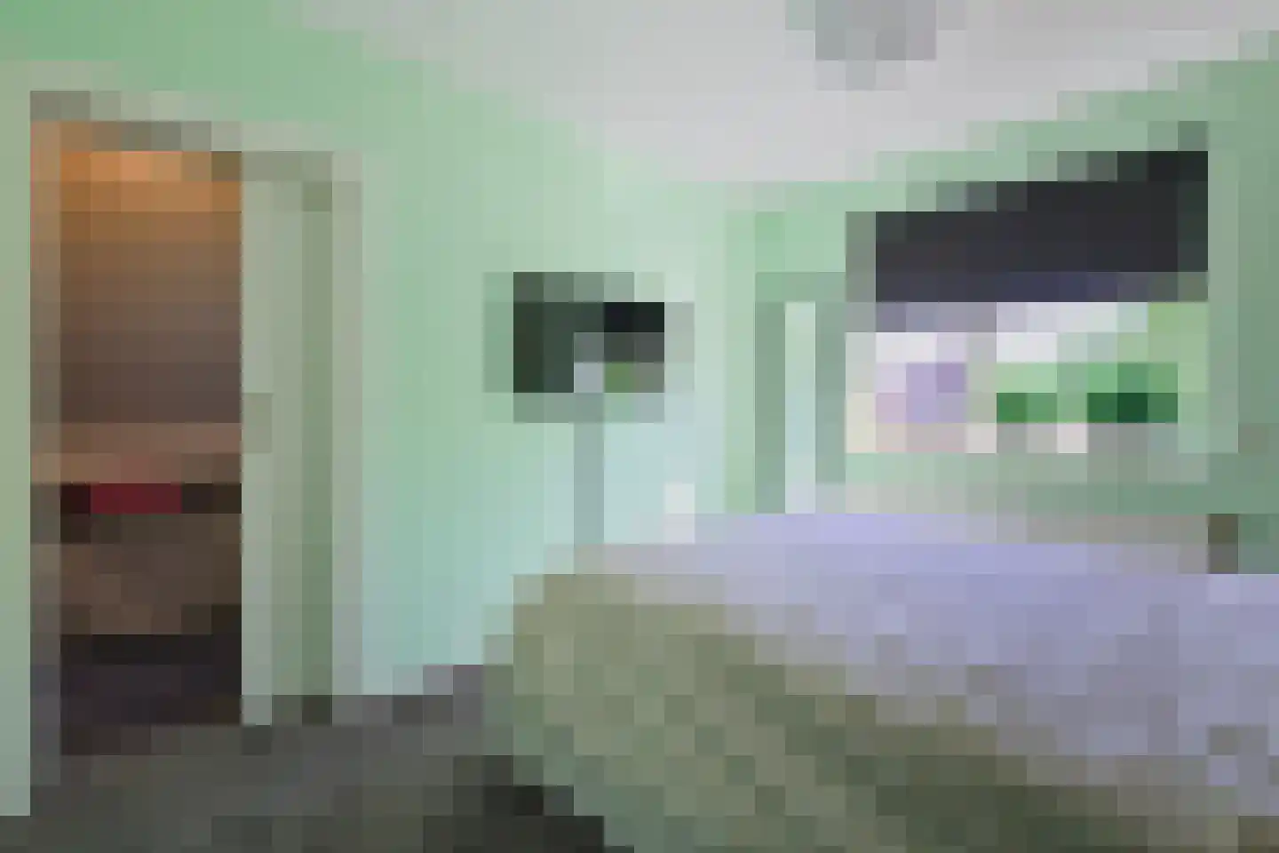 De Kievit 15 Vroomshoop thumbnail 22