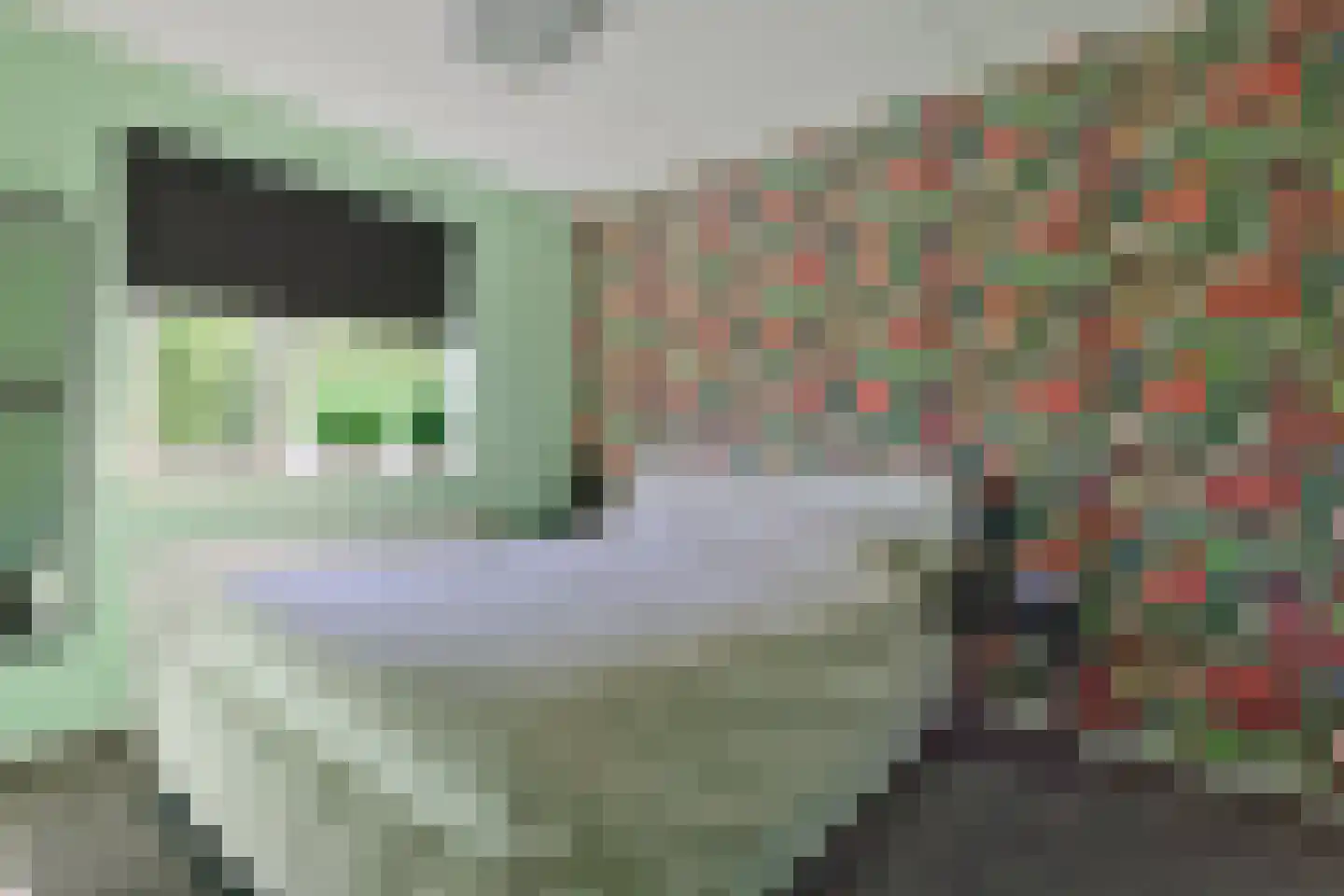 De Kievit 15 Vroomshoop thumbnail 23