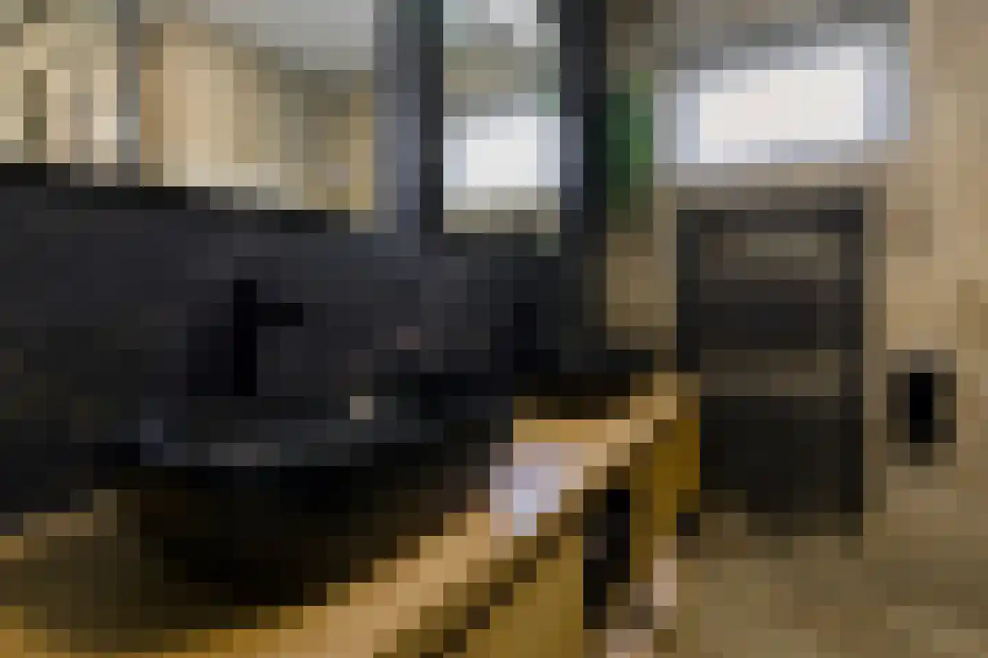 De Kievit 15 Vroomshoop thumbnail 24