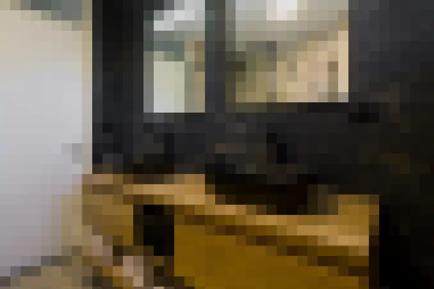 De Kievit 15 Vroomshoop thumbnail 25