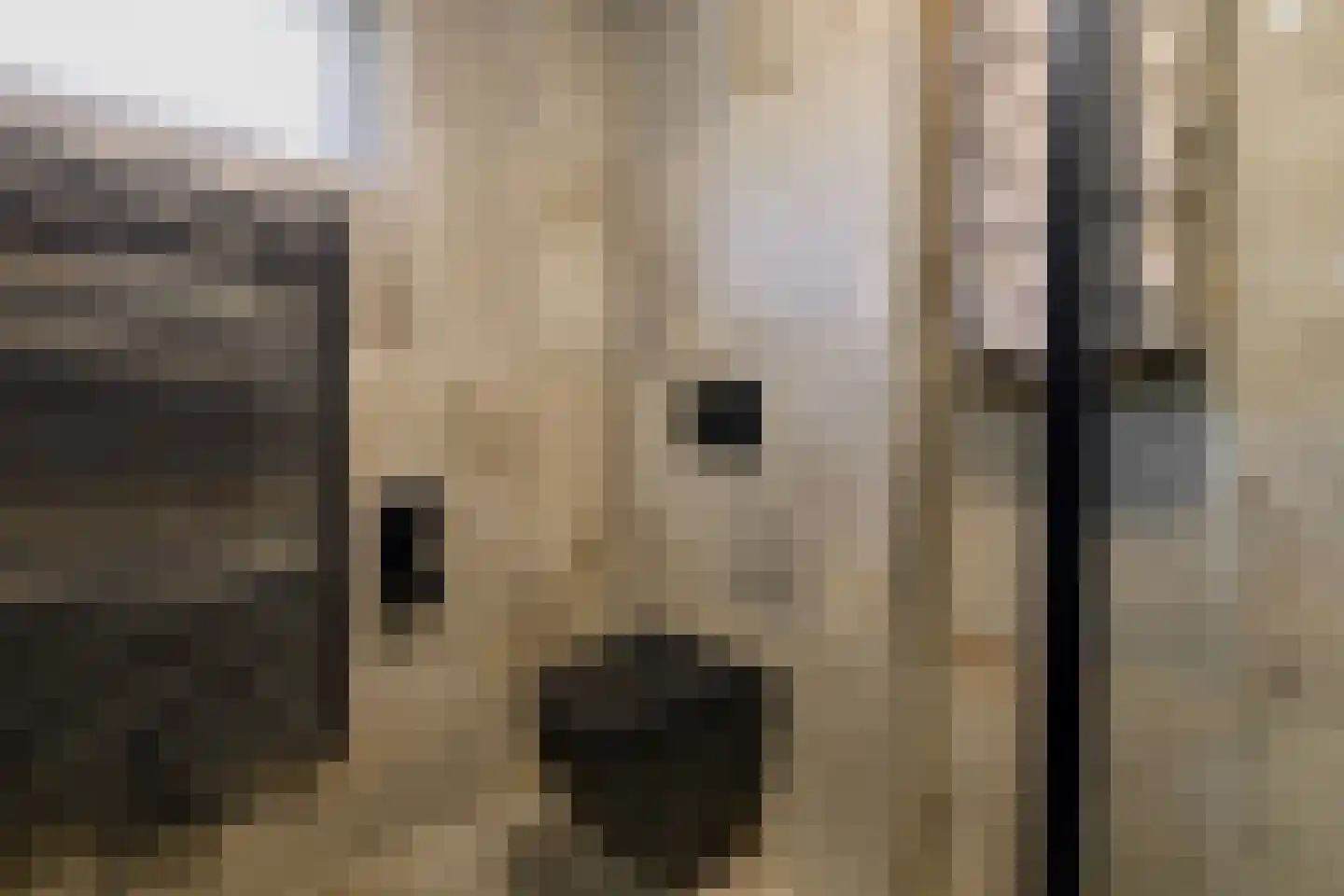 De Kievit 15 Vroomshoop thumbnail 26