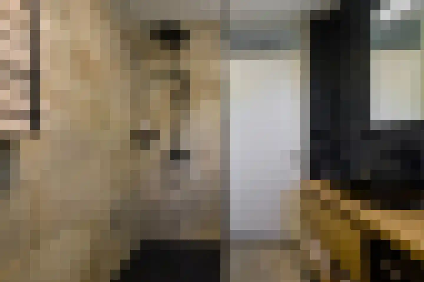 De Kievit 15 Vroomshoop thumbnail 27