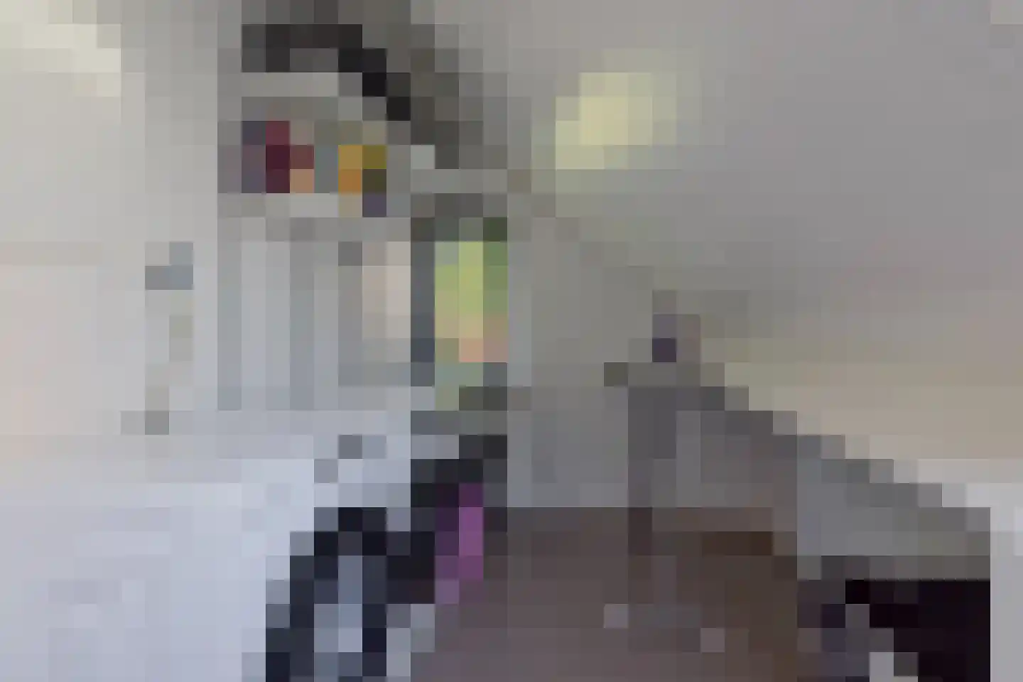 De Kievit 15 Vroomshoop thumbnail 28