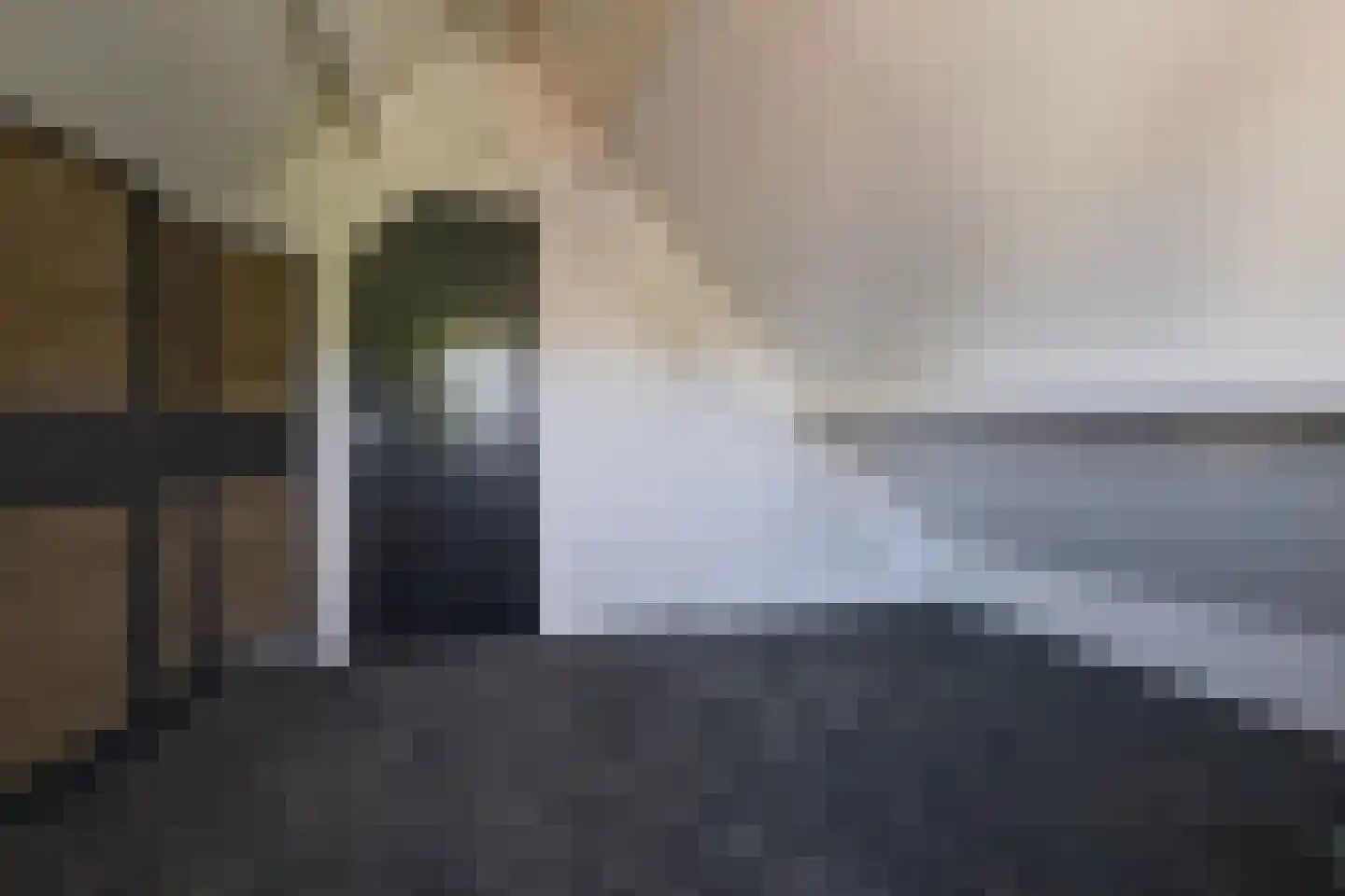 De Kievit 15 Vroomshoop thumbnail 29