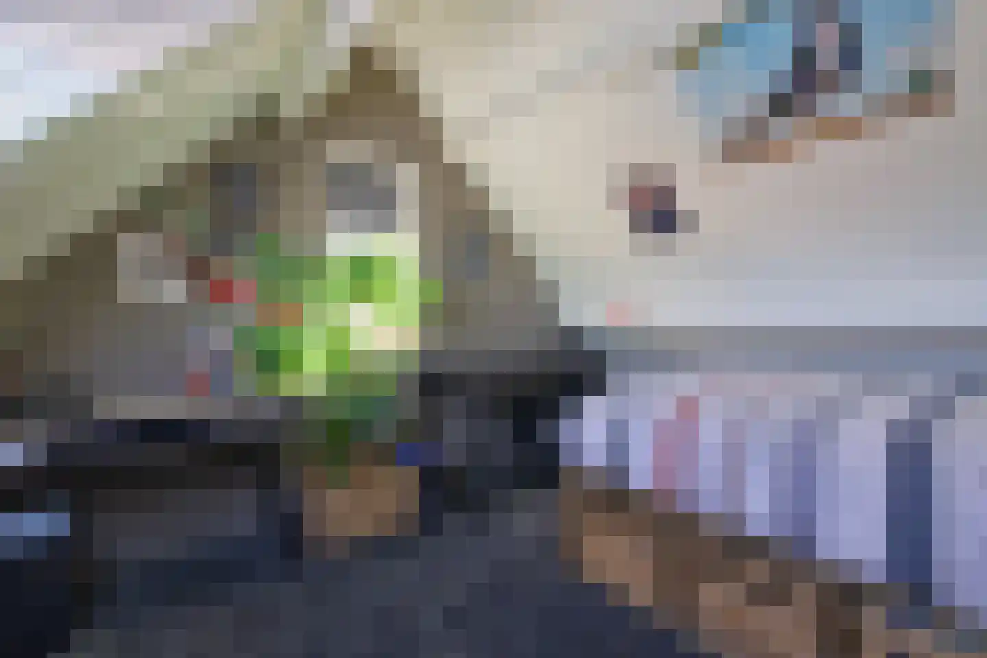 De Kievit 15 Vroomshoop thumbnail 30