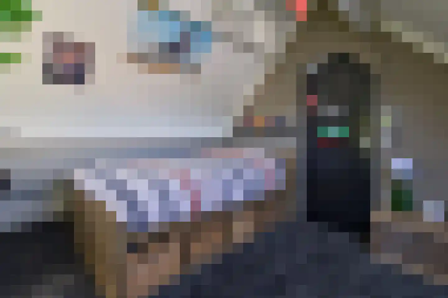 De Kievit 15 Vroomshoop thumbnail 31