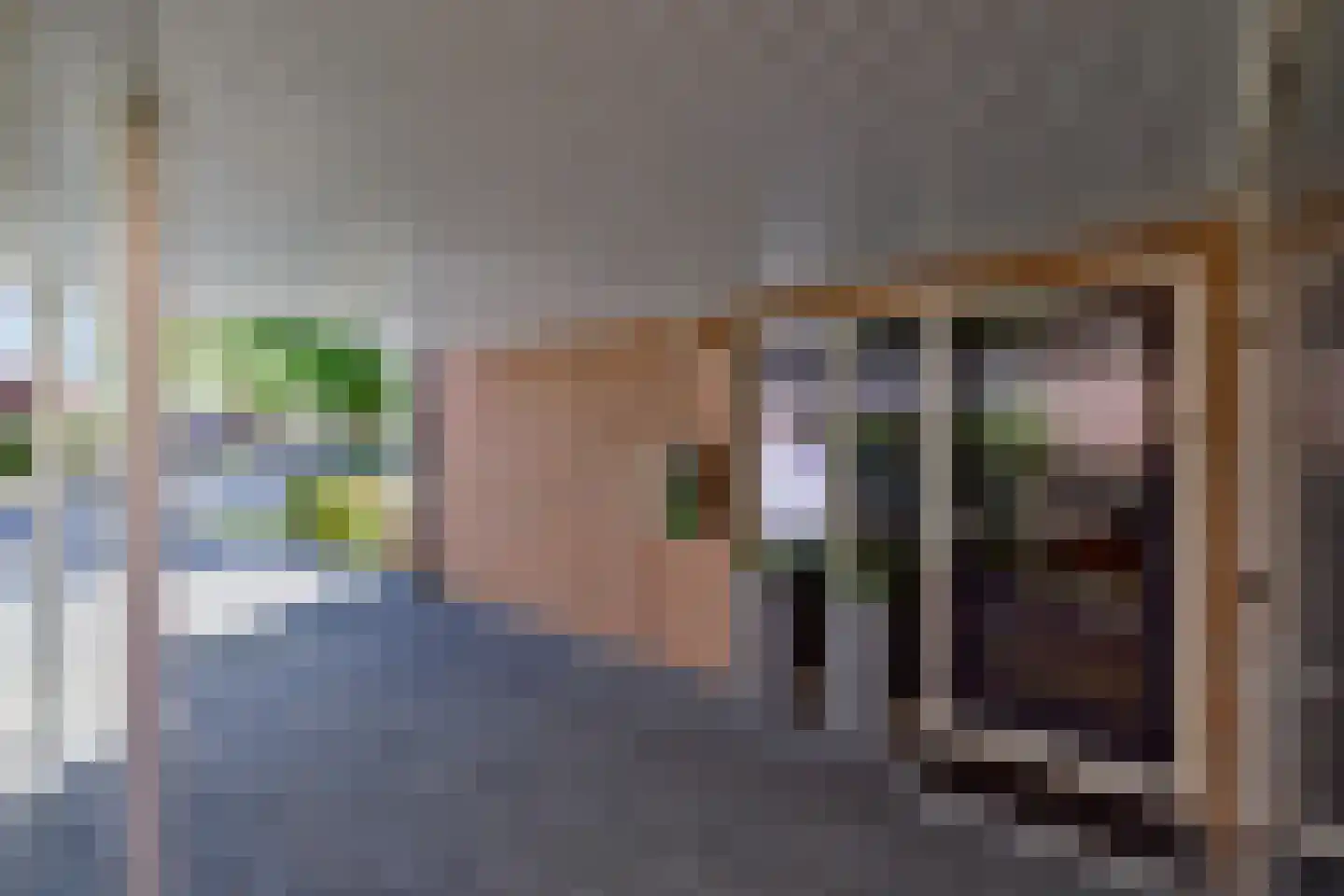 De Kievit 15 Vroomshoop thumbnail 34