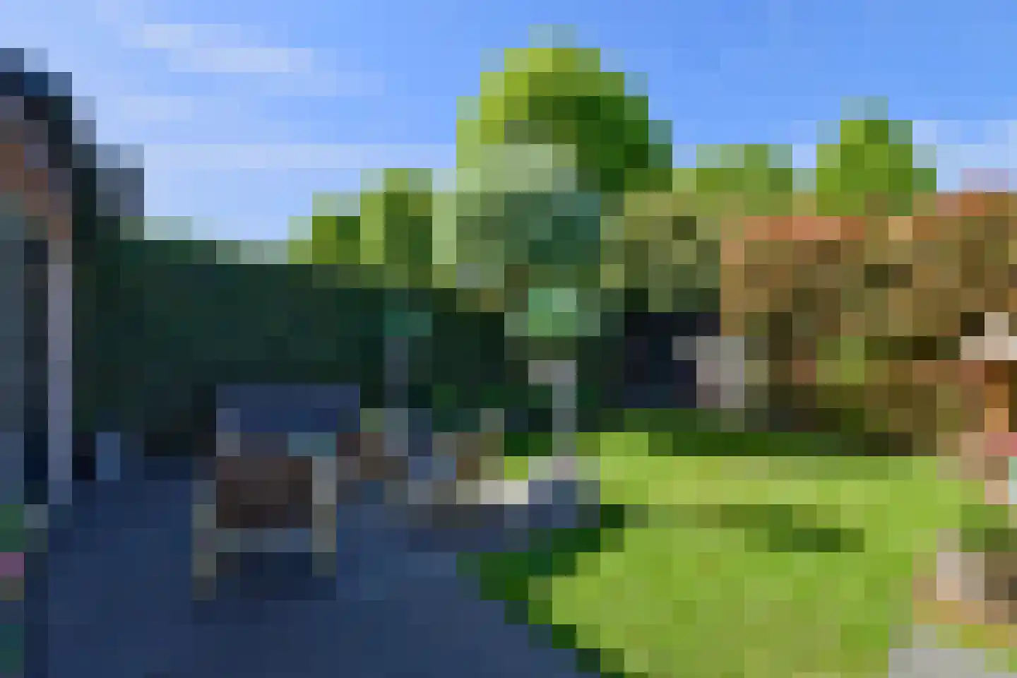 De Kievit 15 Vroomshoop thumbnail 37
