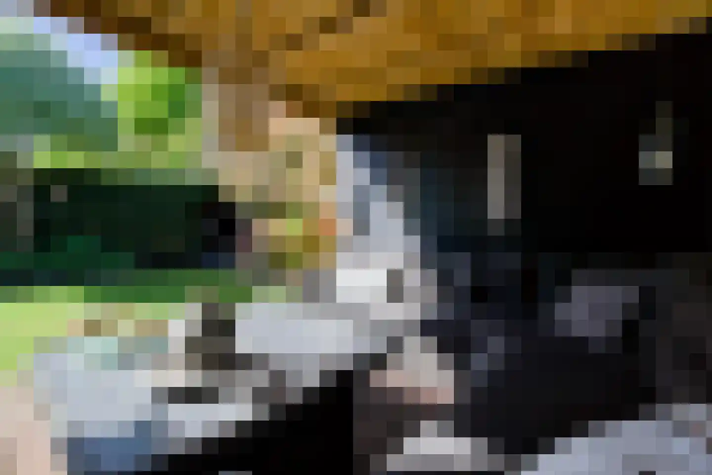 De Kievit 15 Vroomshoop thumbnail 38