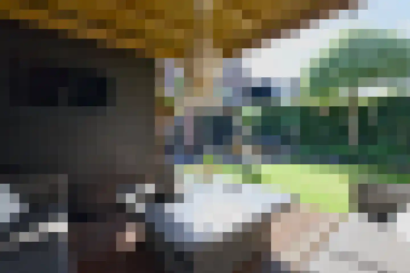 De Kievit 15 Vroomshoop thumbnail 39