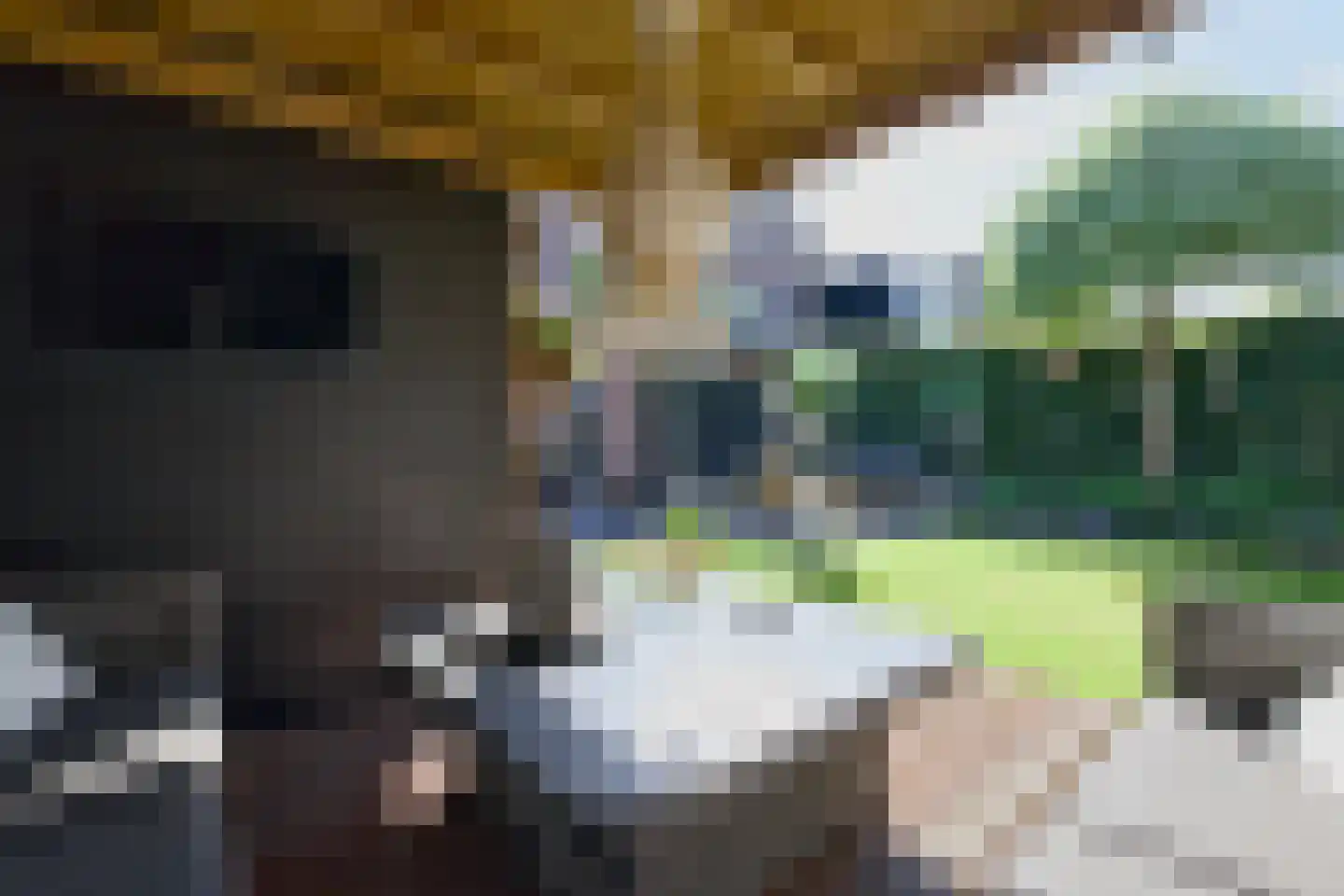 De Kievit 15 Vroomshoop thumbnail 39