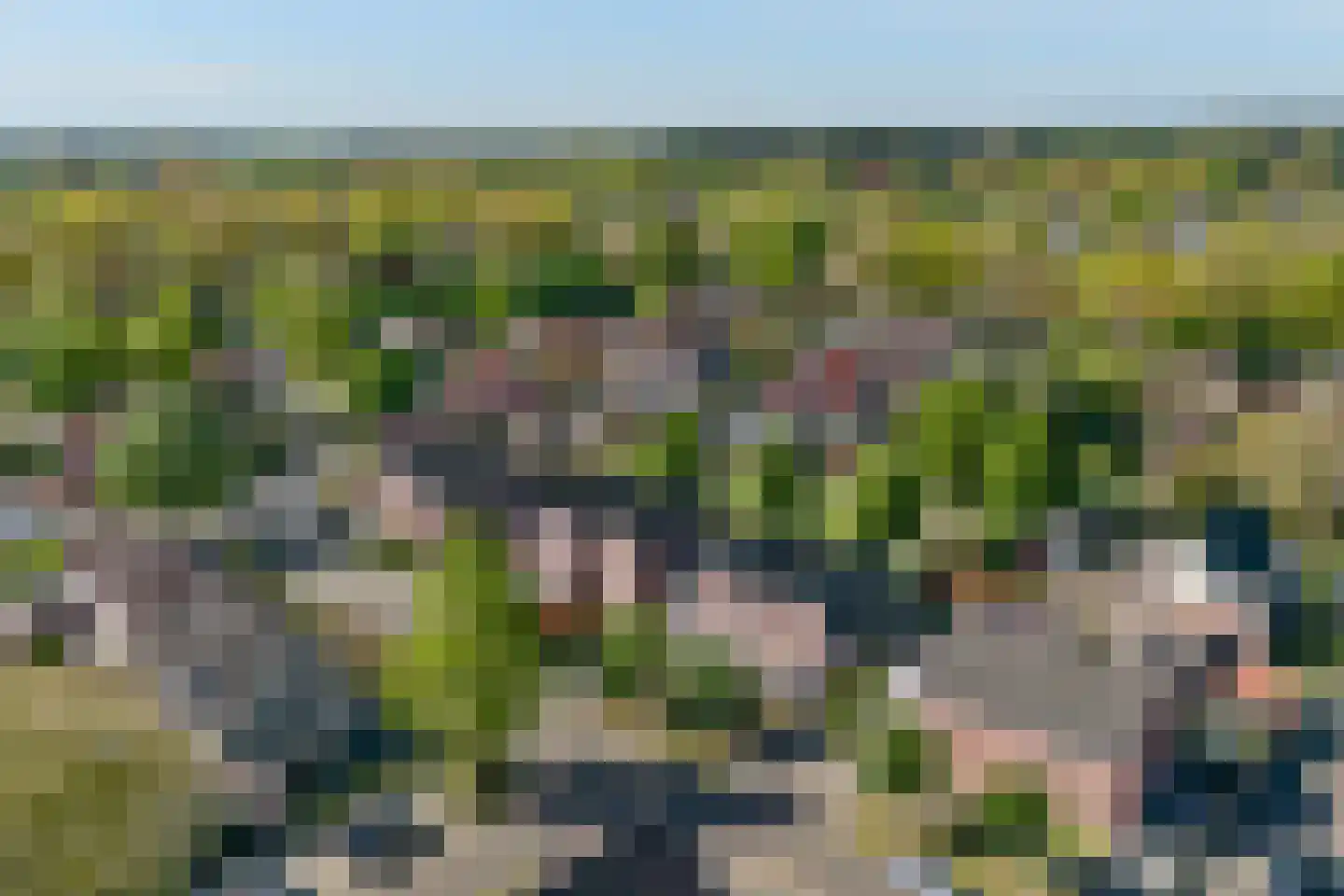 De Kievit 15 Vroomshoop thumbnail 4