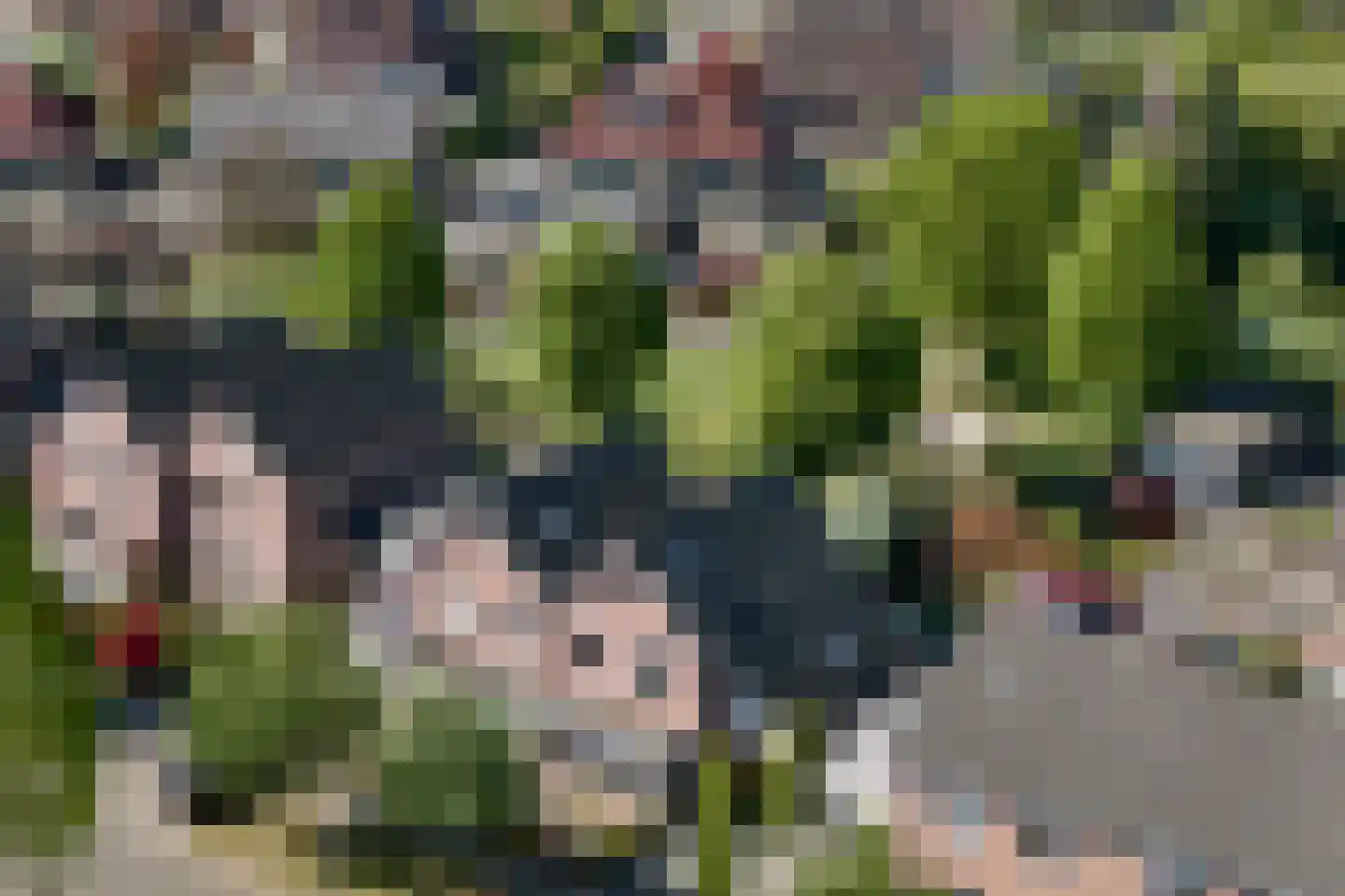 De Kievit 15 Vroomshoop thumbnail 42
