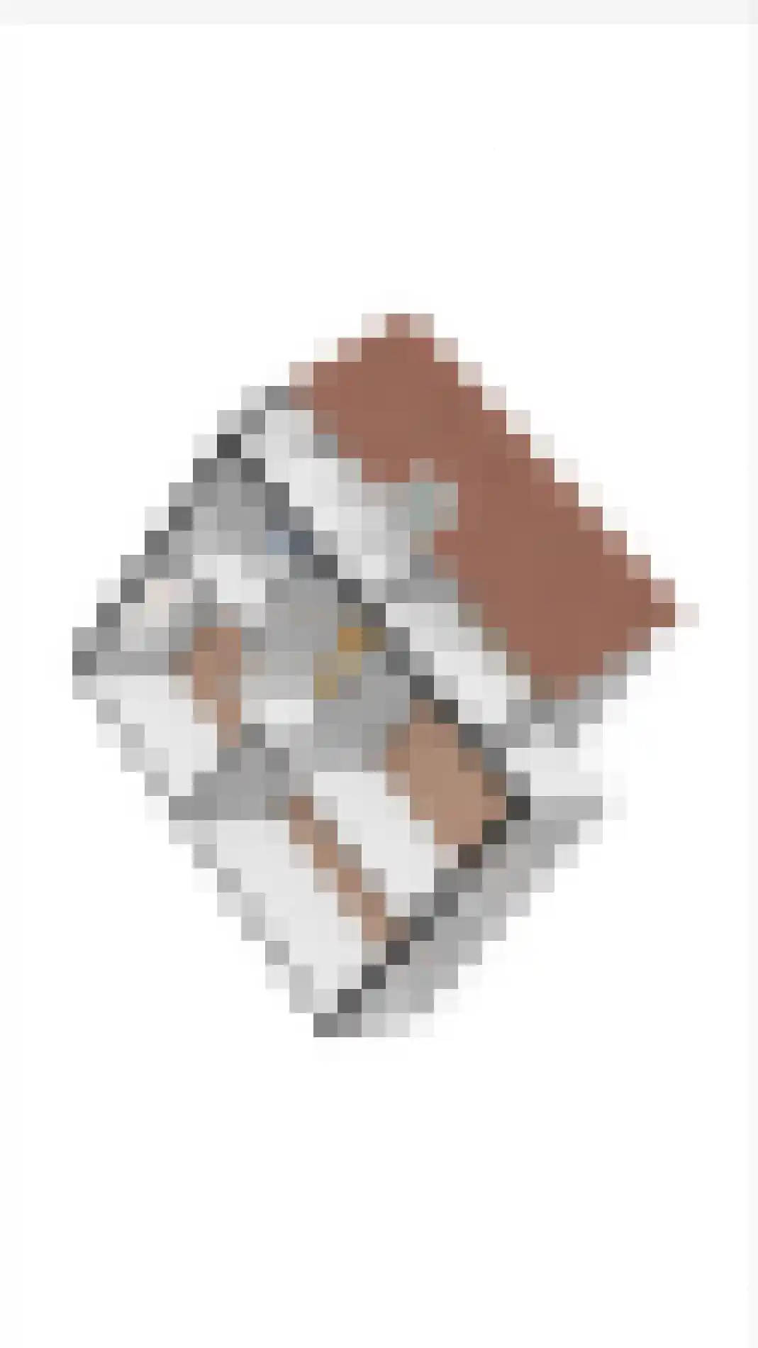De Kievit 15 Vroomshoop thumbnail 46