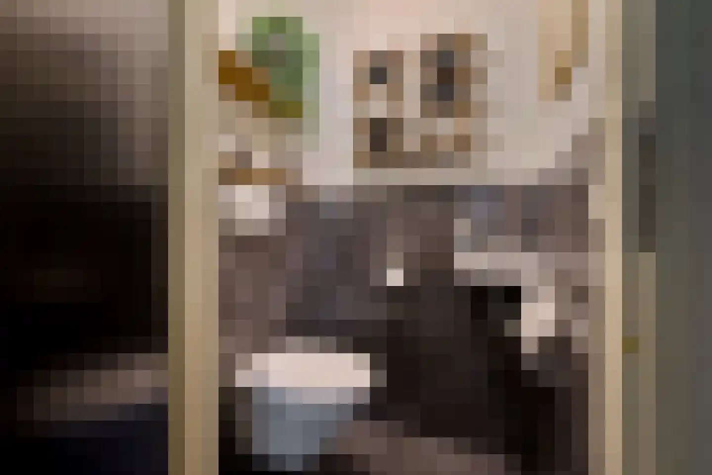De Kievit 15 Vroomshoop thumbnail 6