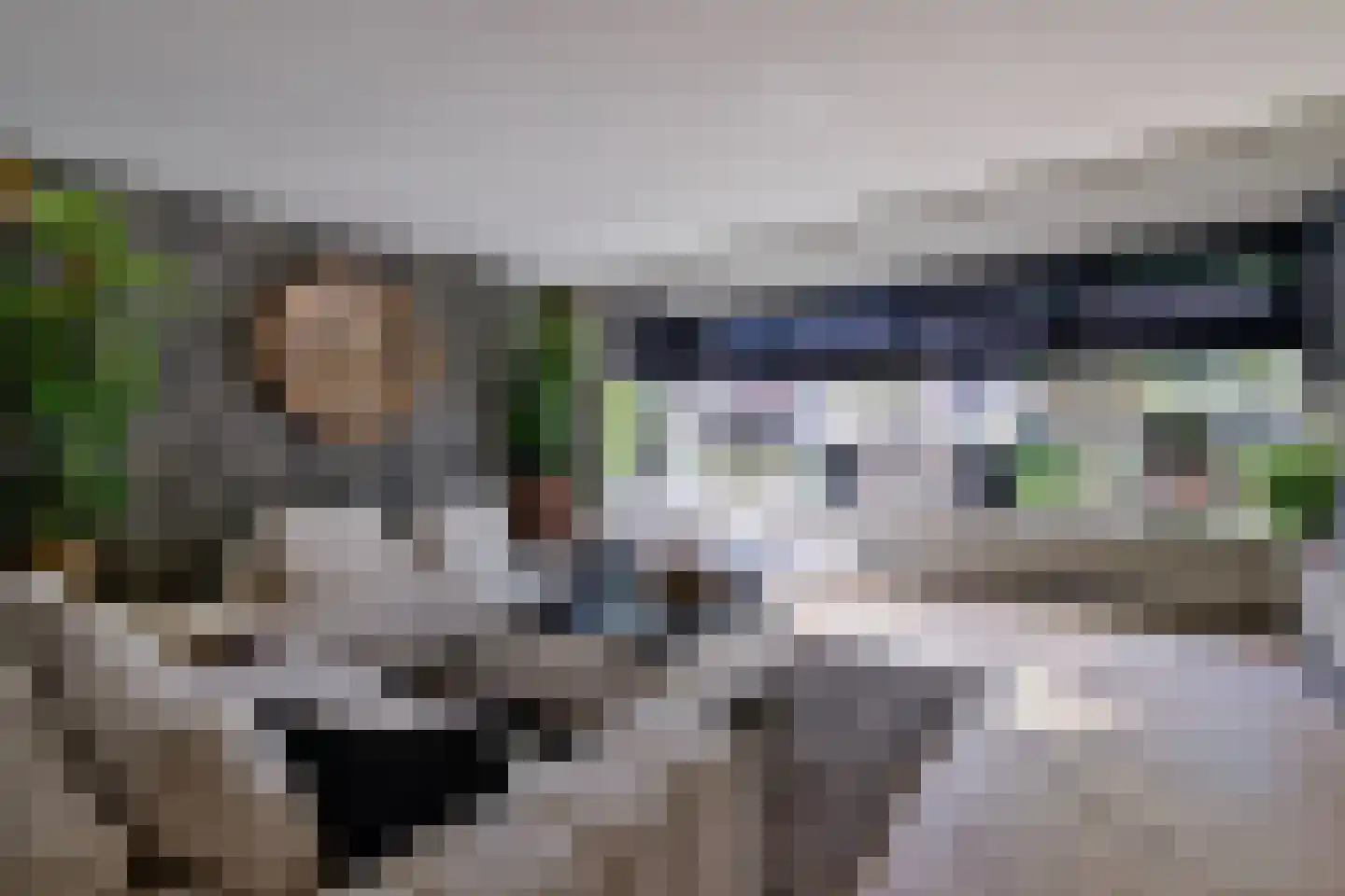 De Kievit 15 Vroomshoop thumbnail 7