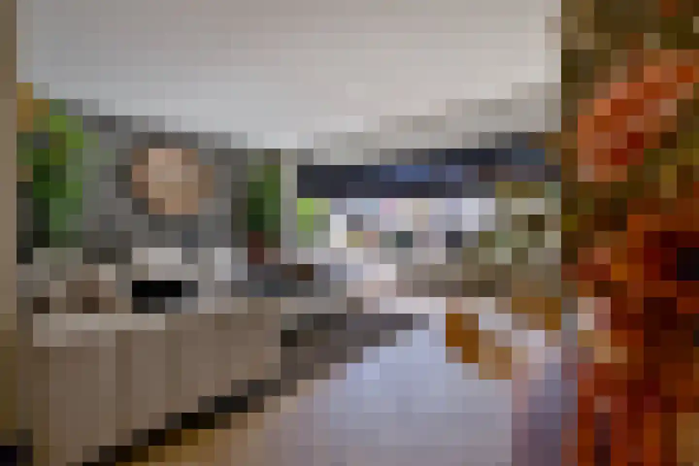 De Kievit 15 Vroomshoop thumbnail 8