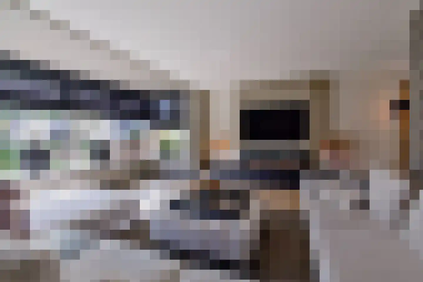 De Kievit 15 Vroomshoop thumbnail 9