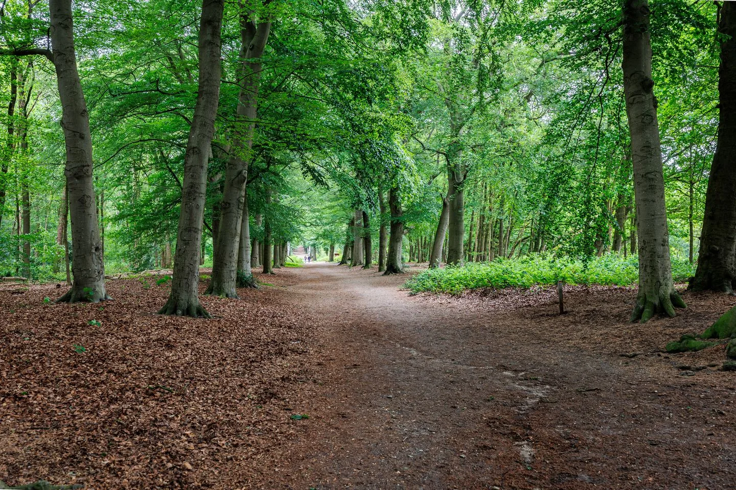 de Kievit 25 Amerongen thumbnail 74