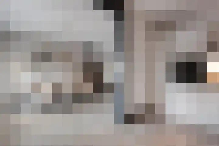 De Kievit 3 Hoogeveen thumbnail 17