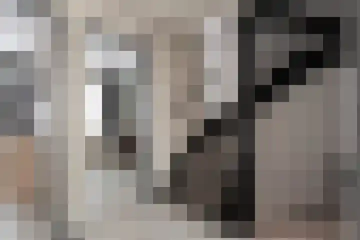 De Kievit 3 Hoogeveen thumbnail 20