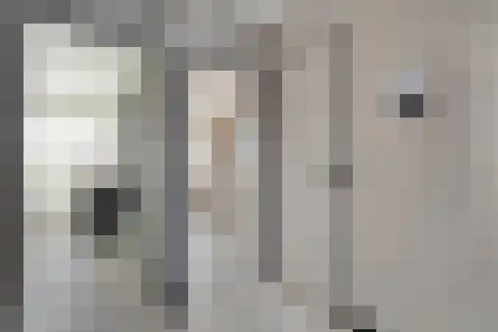 De Kievit 3 Hoogeveen thumbnail 21