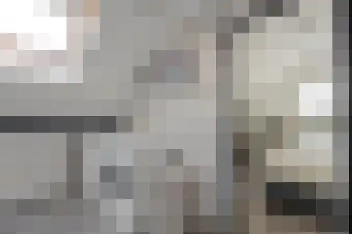 De Kievit 3 Hoogeveen thumbnail 31