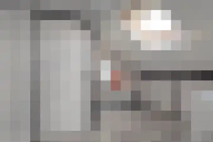 De Kievit 3 Hoogeveen thumbnail 32