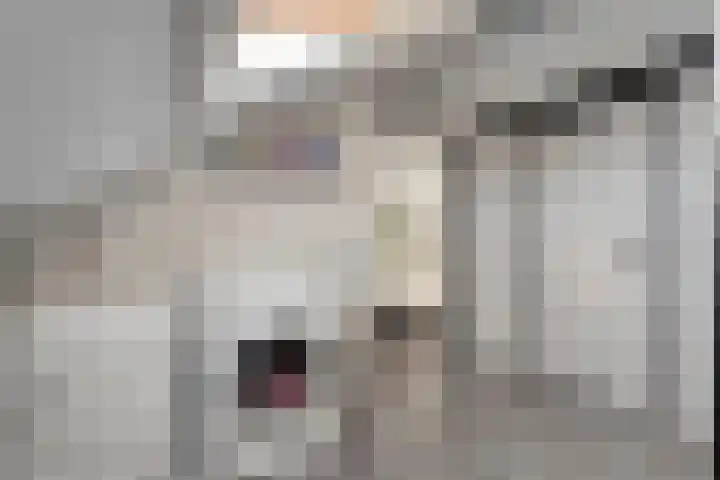 De Kievit 3 Hoogeveen thumbnail 33